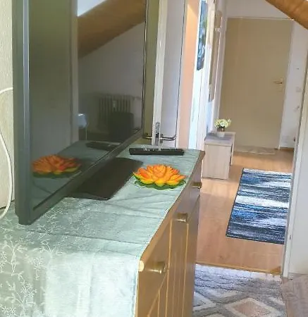 Am Bodensee - 2023 Neu Renoviert! Apartment